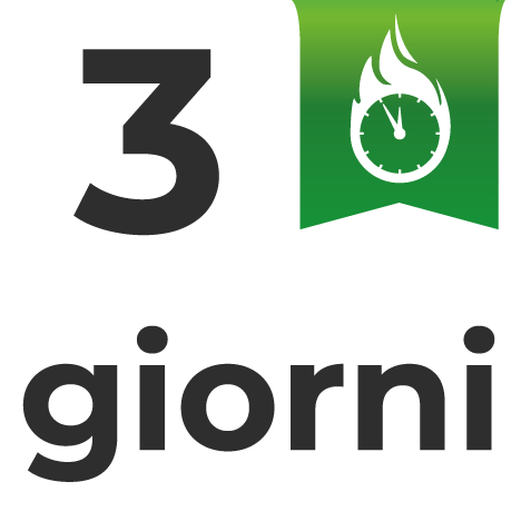 250 Biglietti da Visita Classici 3 giorni lavorativi