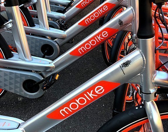 Adesivi per Auto e Furgoni